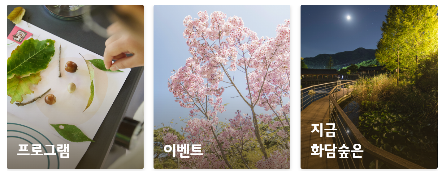 화담숲 홈페이지