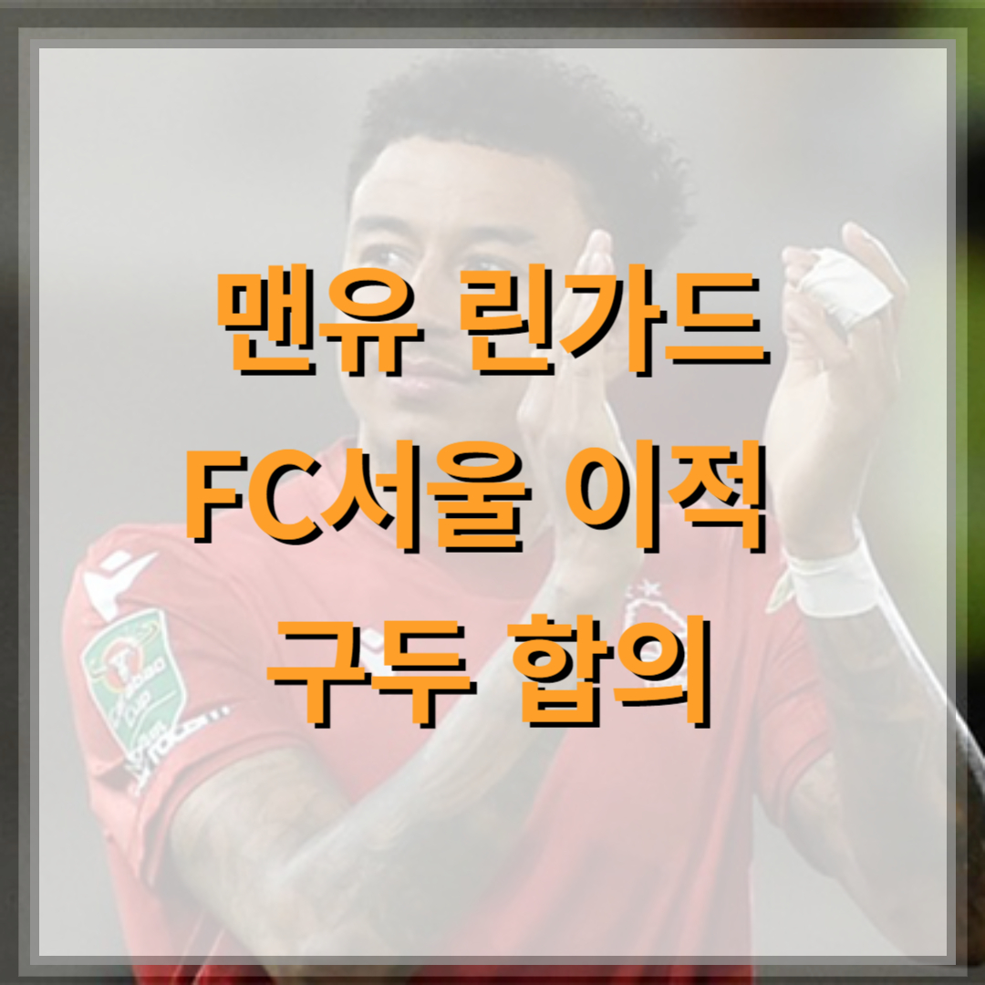 린가드-FC서울-이적-협의