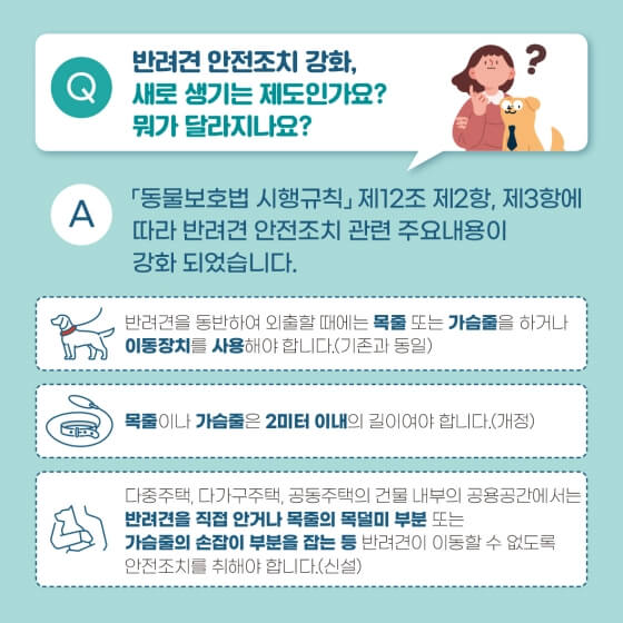 반려견목줄