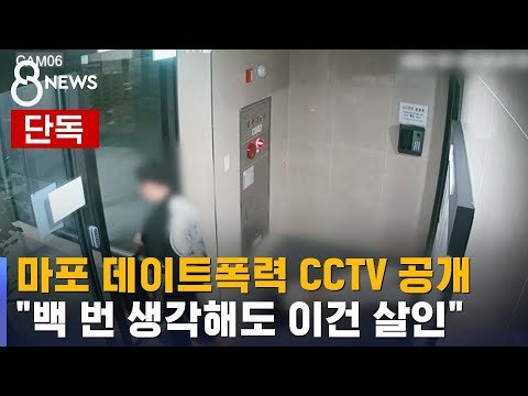  [마포 폭행 사건]"구하다 그랬다"는 범인 뽀로로 든 77세 법의학자 이정빈 교수 단호 마포구 오피스텔 말다툼 여자친구 폭행 숨지게 한 30대 남성 인간이하 수준 척추동맥 손상 참혹