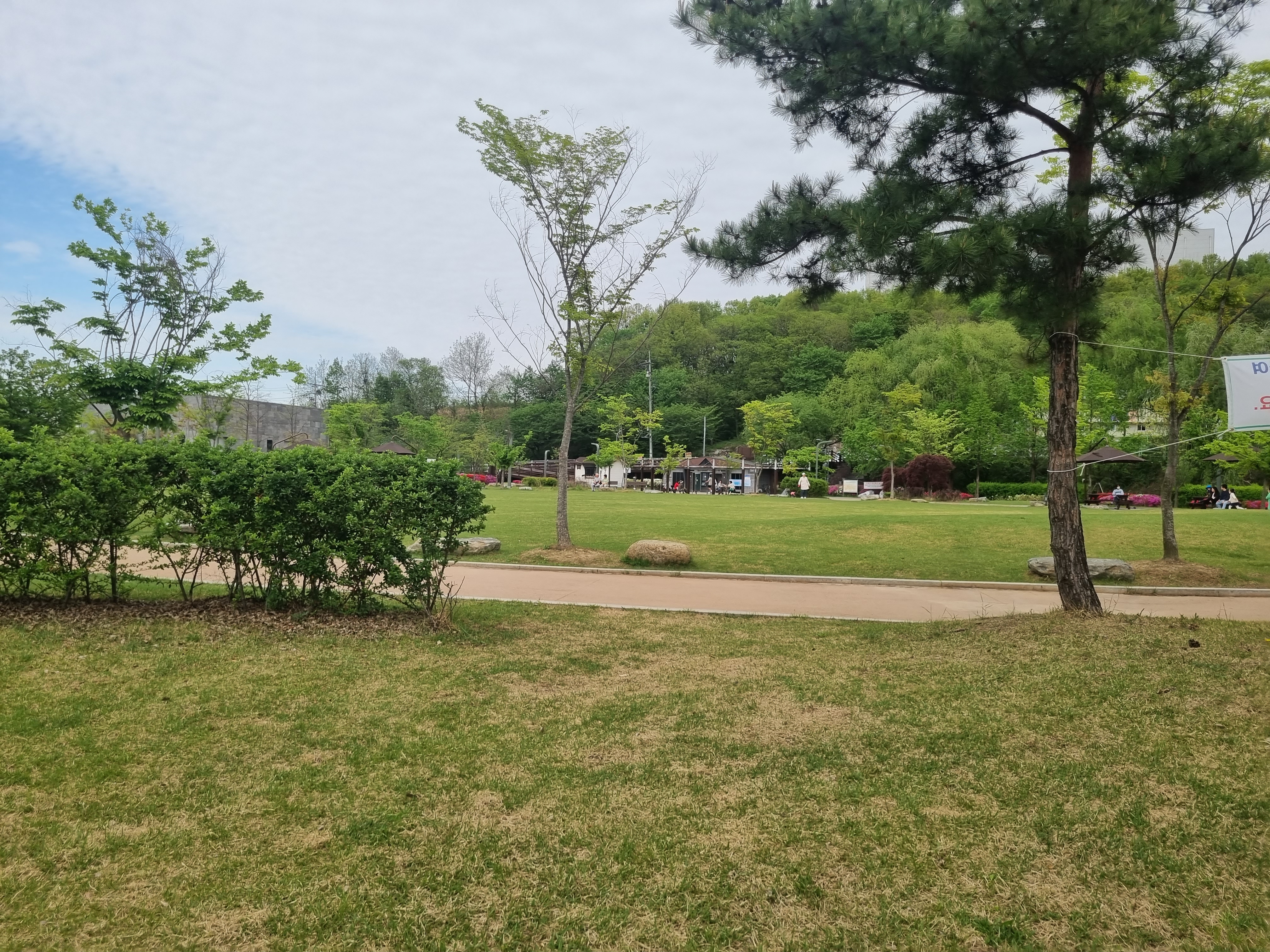 반려동물 놀이터