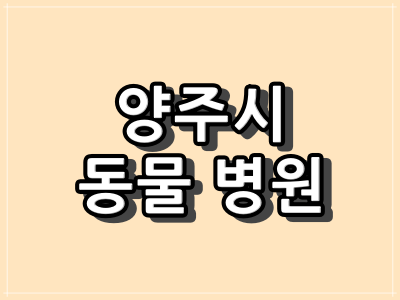 경기도 양주시 동물 병원
