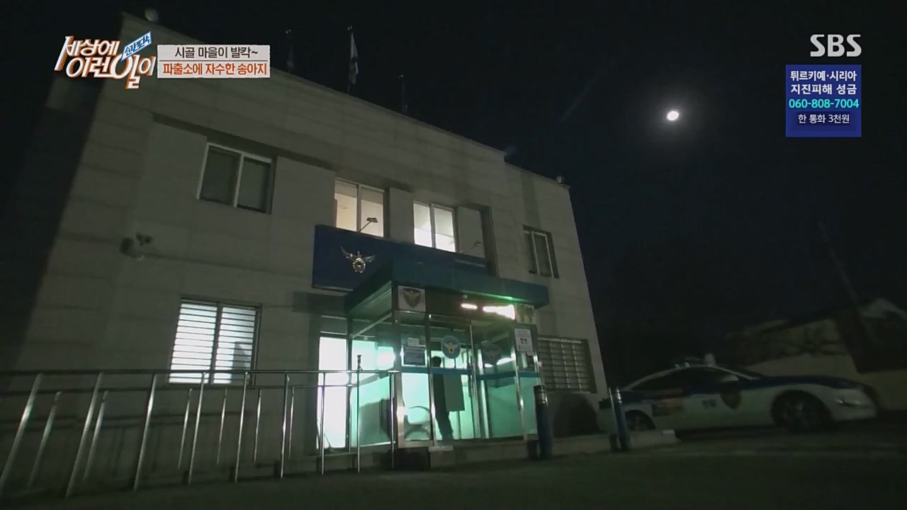 순간포착 세상에 이런 일이.E1217.230215p.WANNA.mp4_20230215_194717.857.jpg