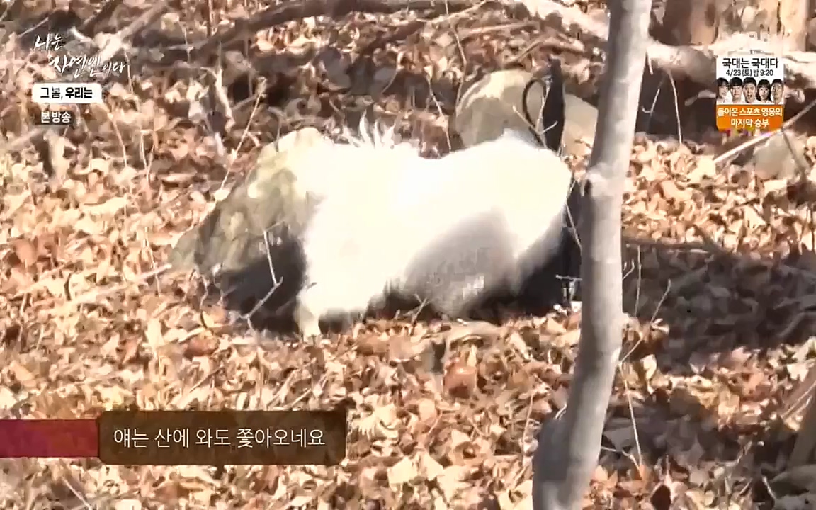 나는 자연인이다.E498.220421p-NEXT.mp4_20220421_184104.913.jpg