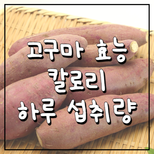 고구마-효능-칼로리-하루-섭취량