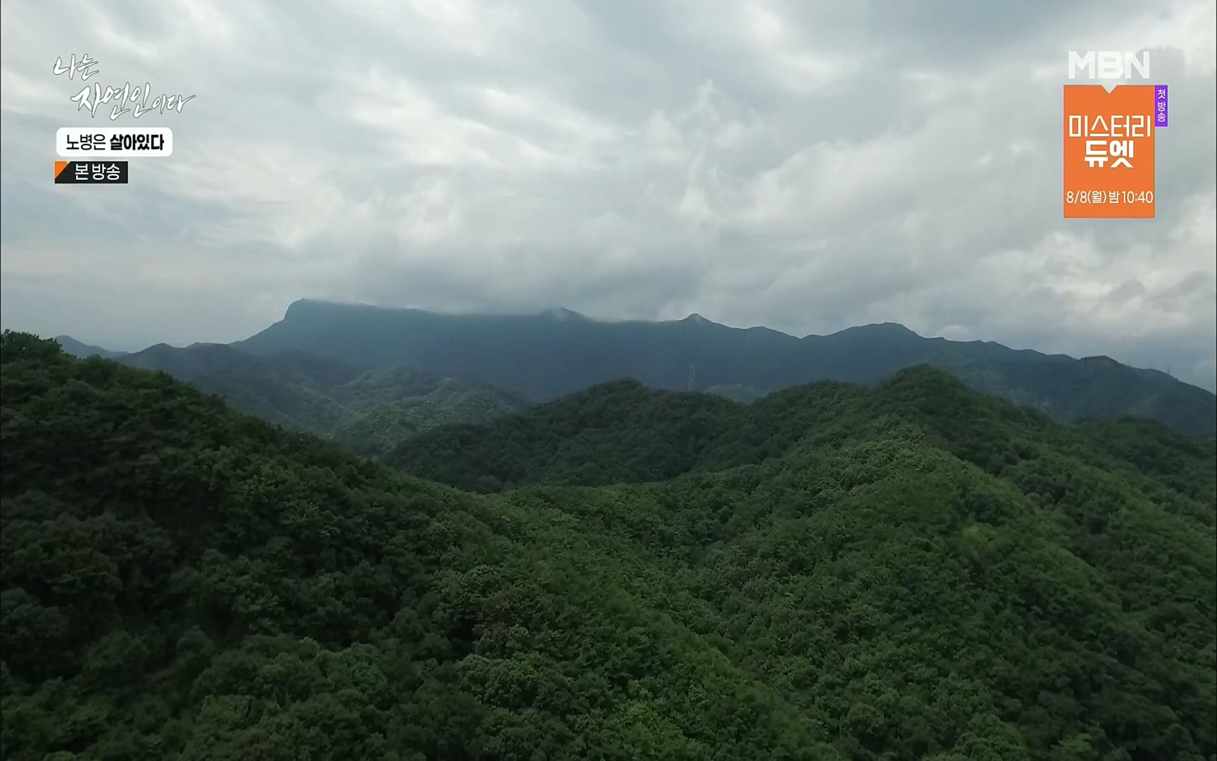 나는 자연인이다.E512.220727p.H264-F1RST.mp4_20220728_200912.616.jpg