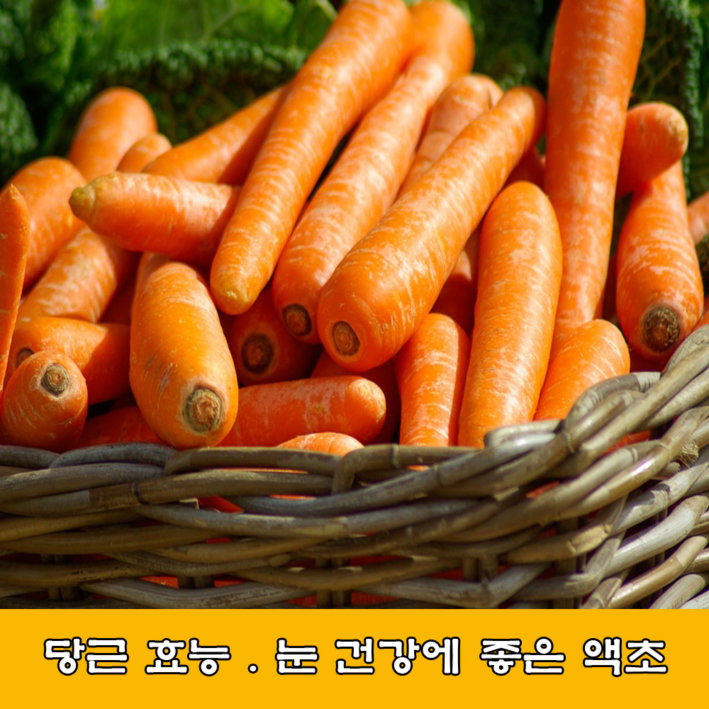  당근.당근 효능.눈에 좋은 약초