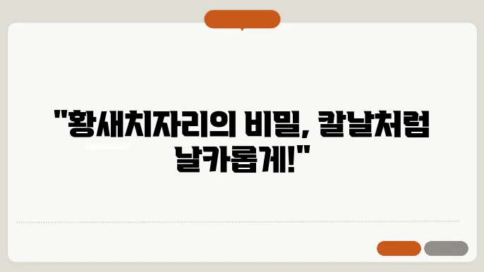 황새치자리 하늘을 가르는 날카로운 칼