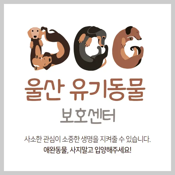 울산-유기동물보호센터-강아지-고양이-유기-동물-보호소