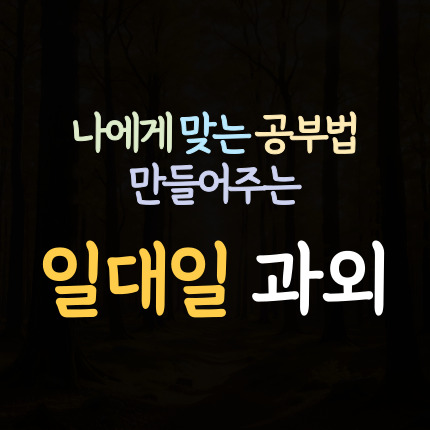  춘천 고등 영어과외 춘천시 중등 수학과외 초등 국어과외 중학생 일대일 내신 전문 사회 과학 역사 한국사 수능 준비