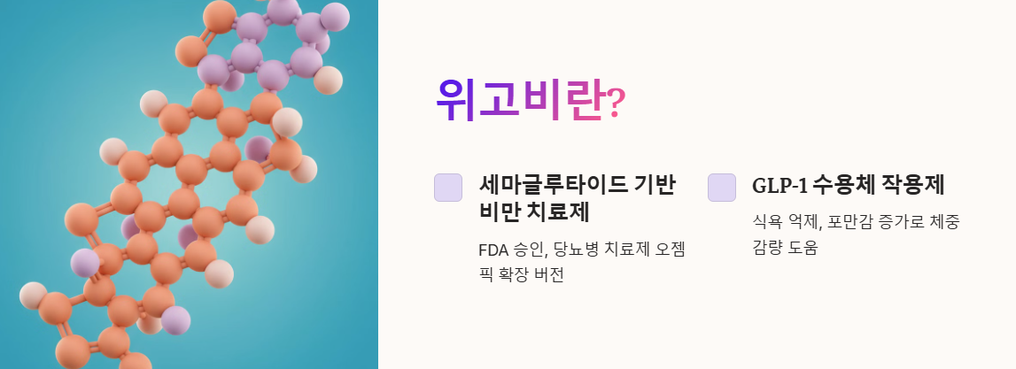 위고비 뜻 설명