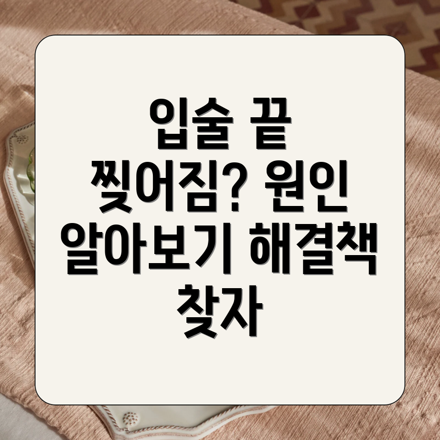 입술 끝 찢어짐