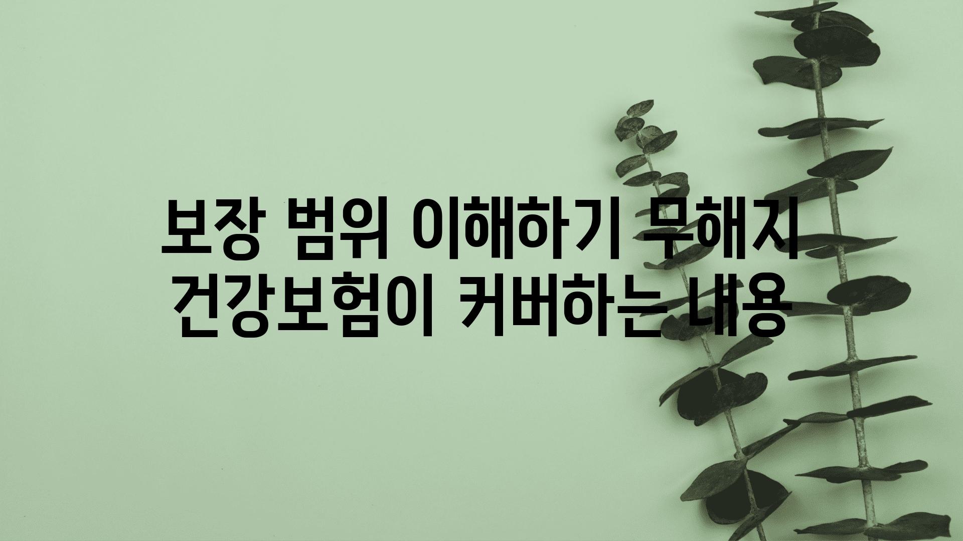 보장 범위 이해하기 무해지 건강보험이 커버하는 내용