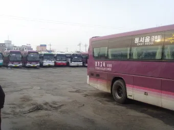 안동 시외버스터미널 시간표 예매 요금_21