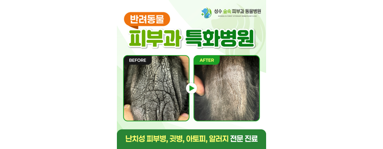 서울 성동구 동물병원