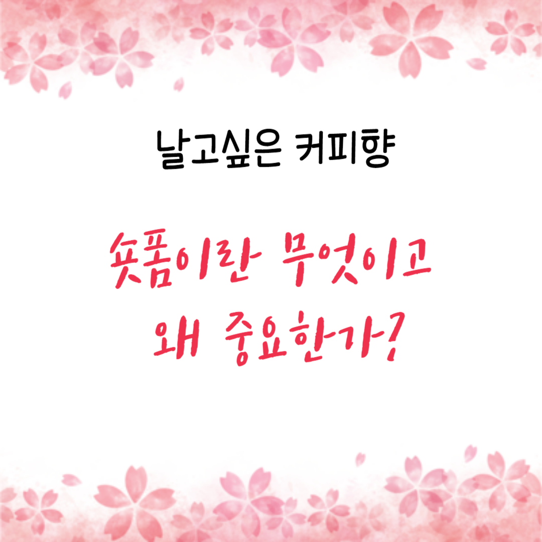  숏폼이란 무엇이고 왜 중요한가?