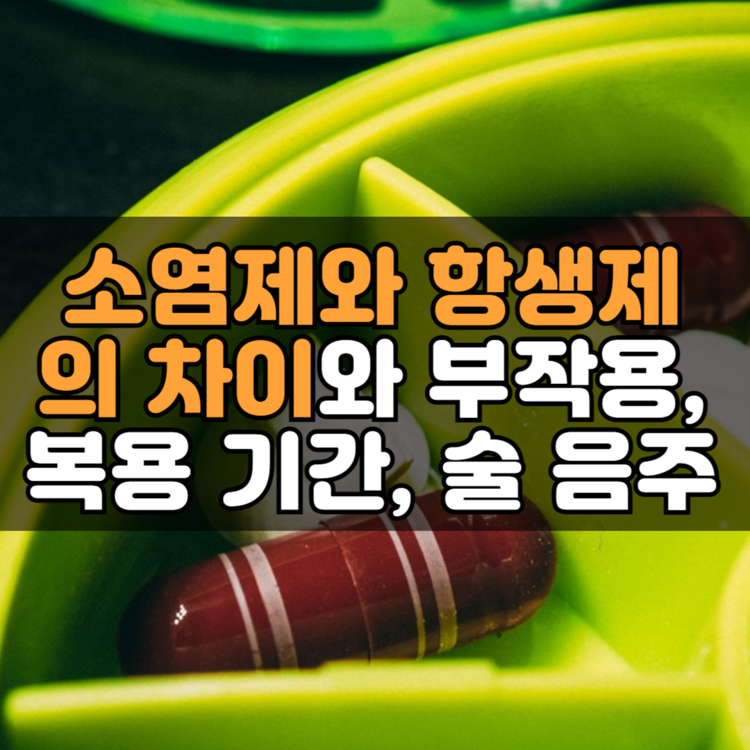 소염제와 항생제의 차이와 부작용, 복용 기간, 술 음주