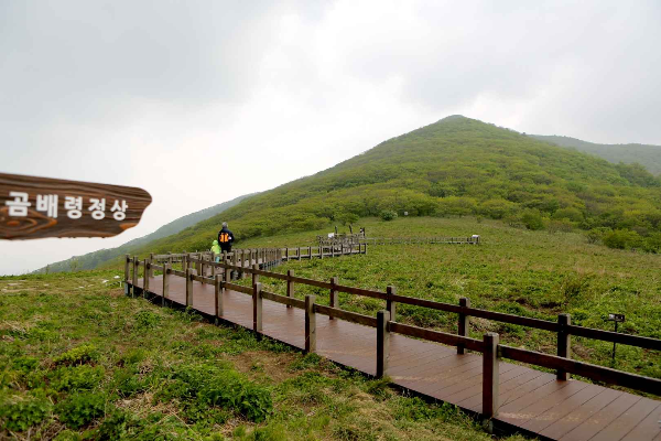 곰배령 정상