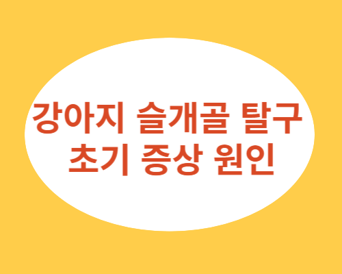 강아지-슬개골-탈구-초기-증상-원인