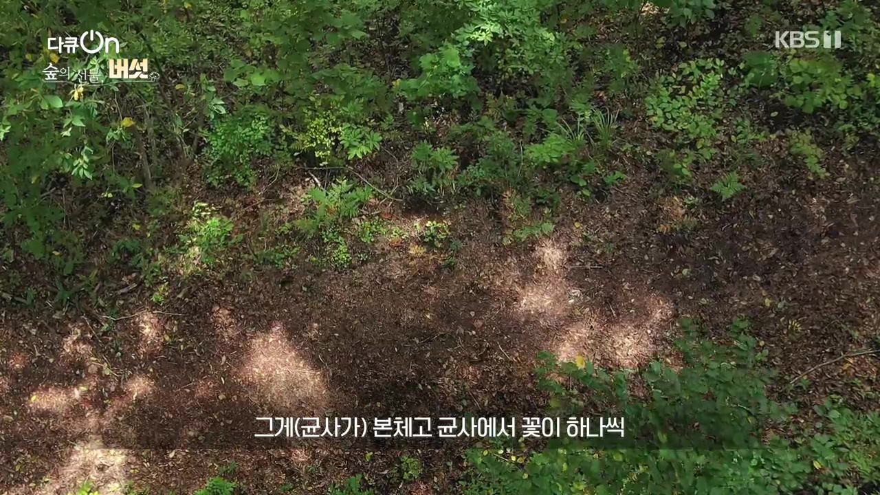 다큐 온.E227.231120p-NEXT.mp4_20231121_201928.764.jpg