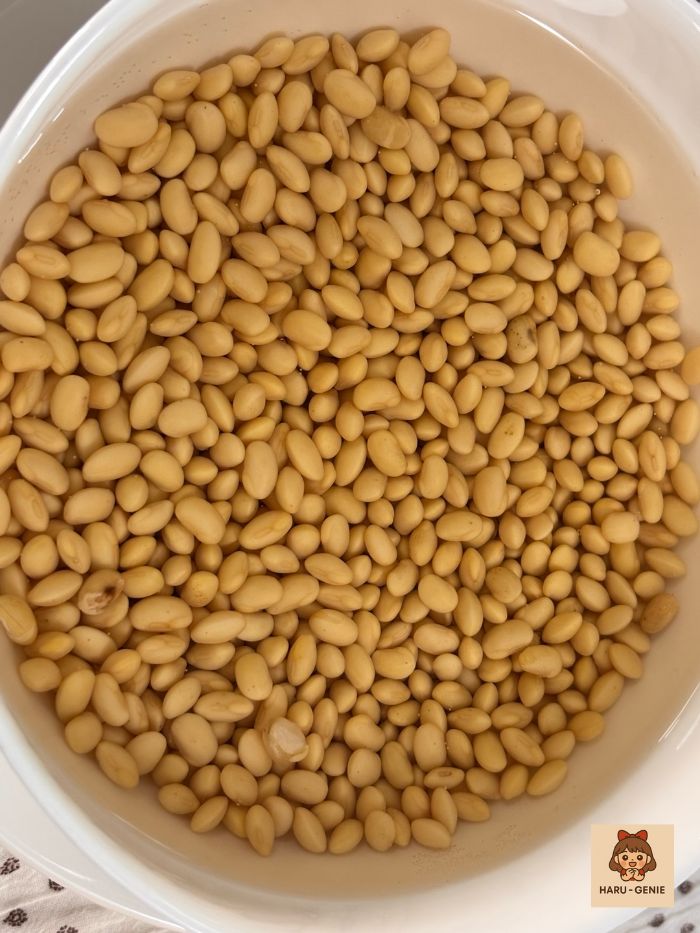 8시간 불린 콩나물콩 통통해진 모습Korean sprout soybeans swollen after 8-hour soaking