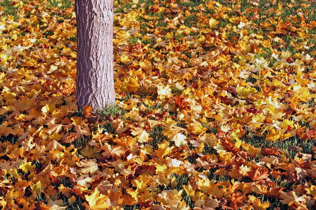 Fall prevention