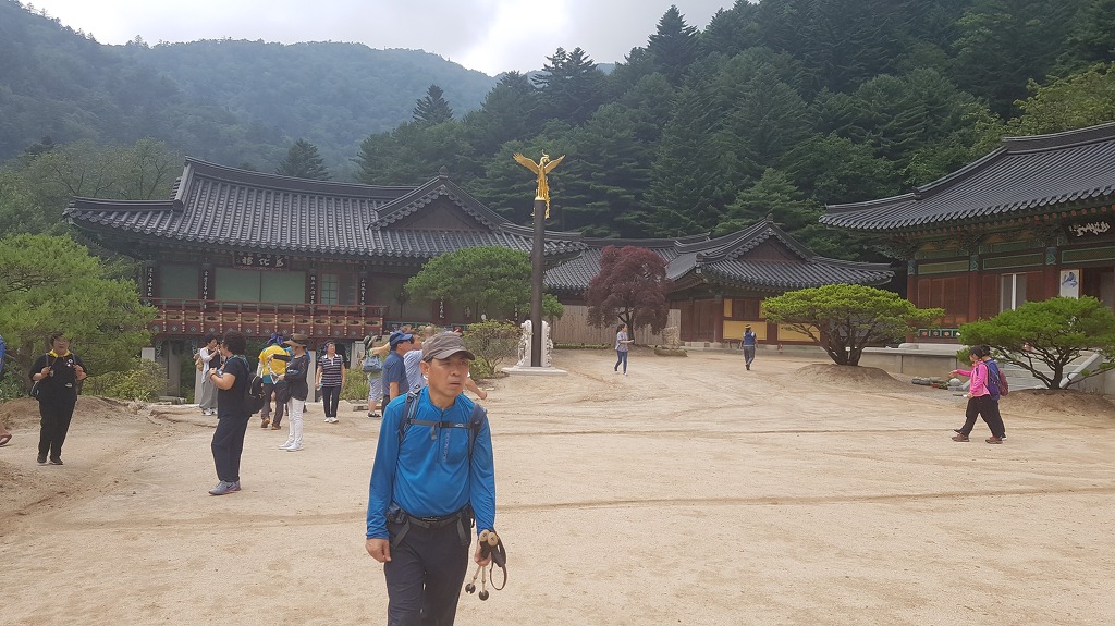 대한通불교조계종 이미지