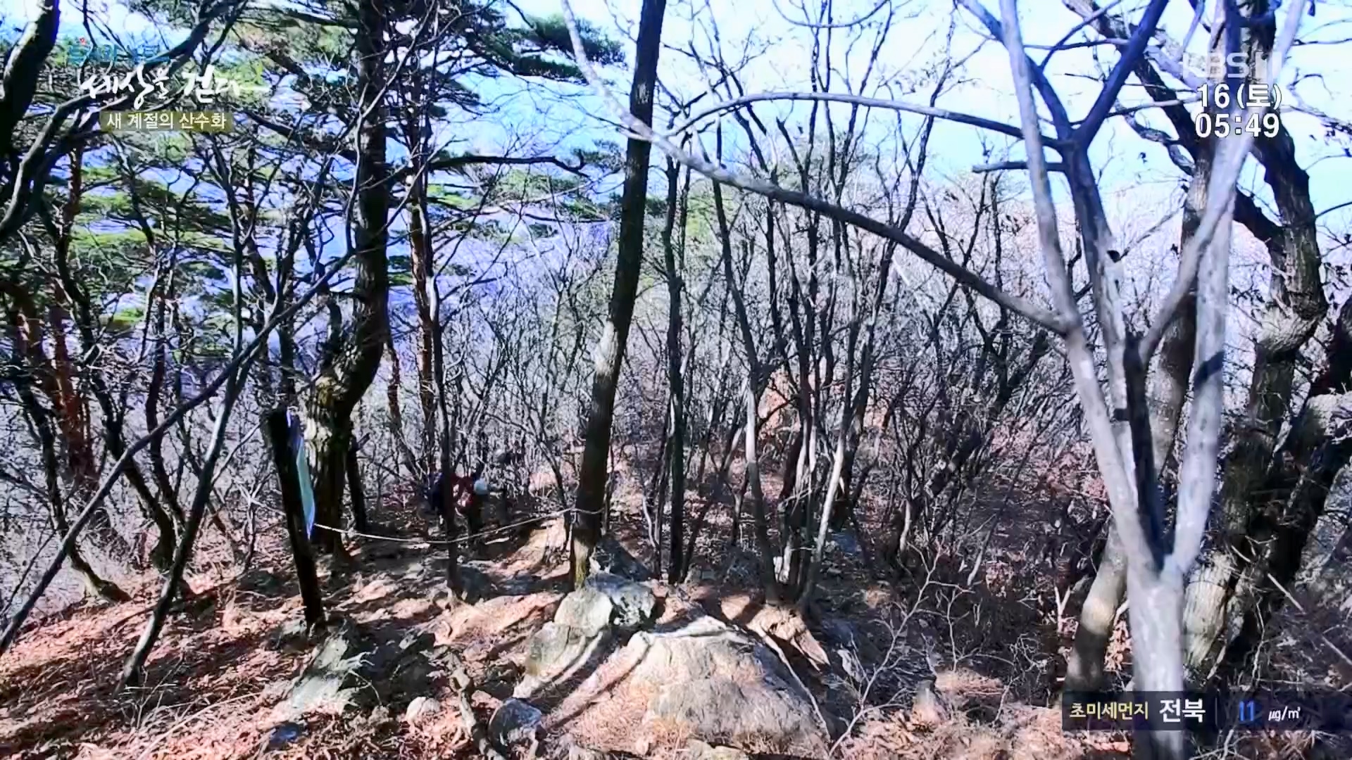 트레킹노트 세상을 걷다.E299.231216p.H264-F1RST.mp4_20240131_200400.187.jpg