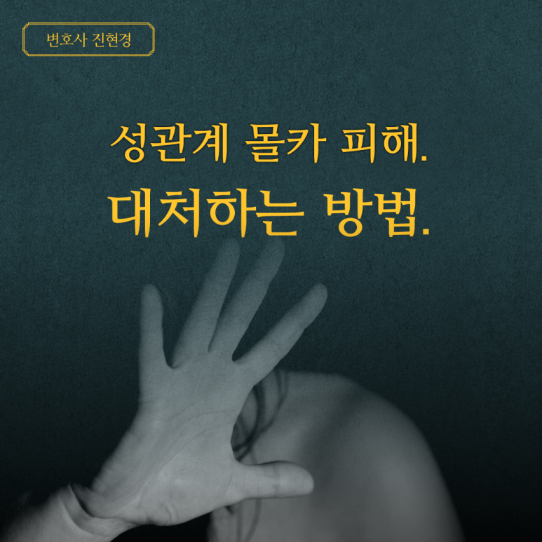  성관계 몰카 피해. 리벤지포르노. 대처하는 방법. - 대전여성변호사 진현경