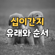십이간지 12간지 순서와 시간 띠별 유형 십이간지 12간지 순서와 시간 띠별 유형