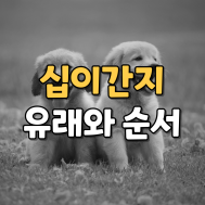 썸네일 입니다.