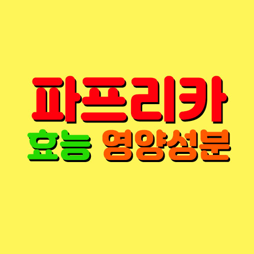  파프리카 효능 및 영양성분