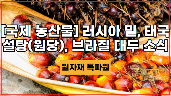  [국제농산물] 러시아 밀, 태국 설탕(원당), 브라질 대두 소식