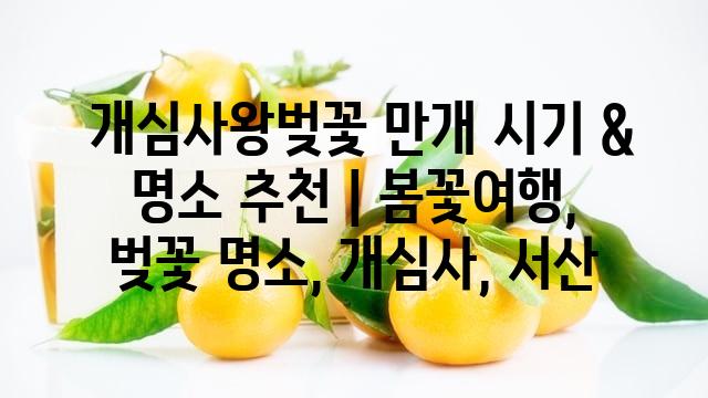 랜덤149