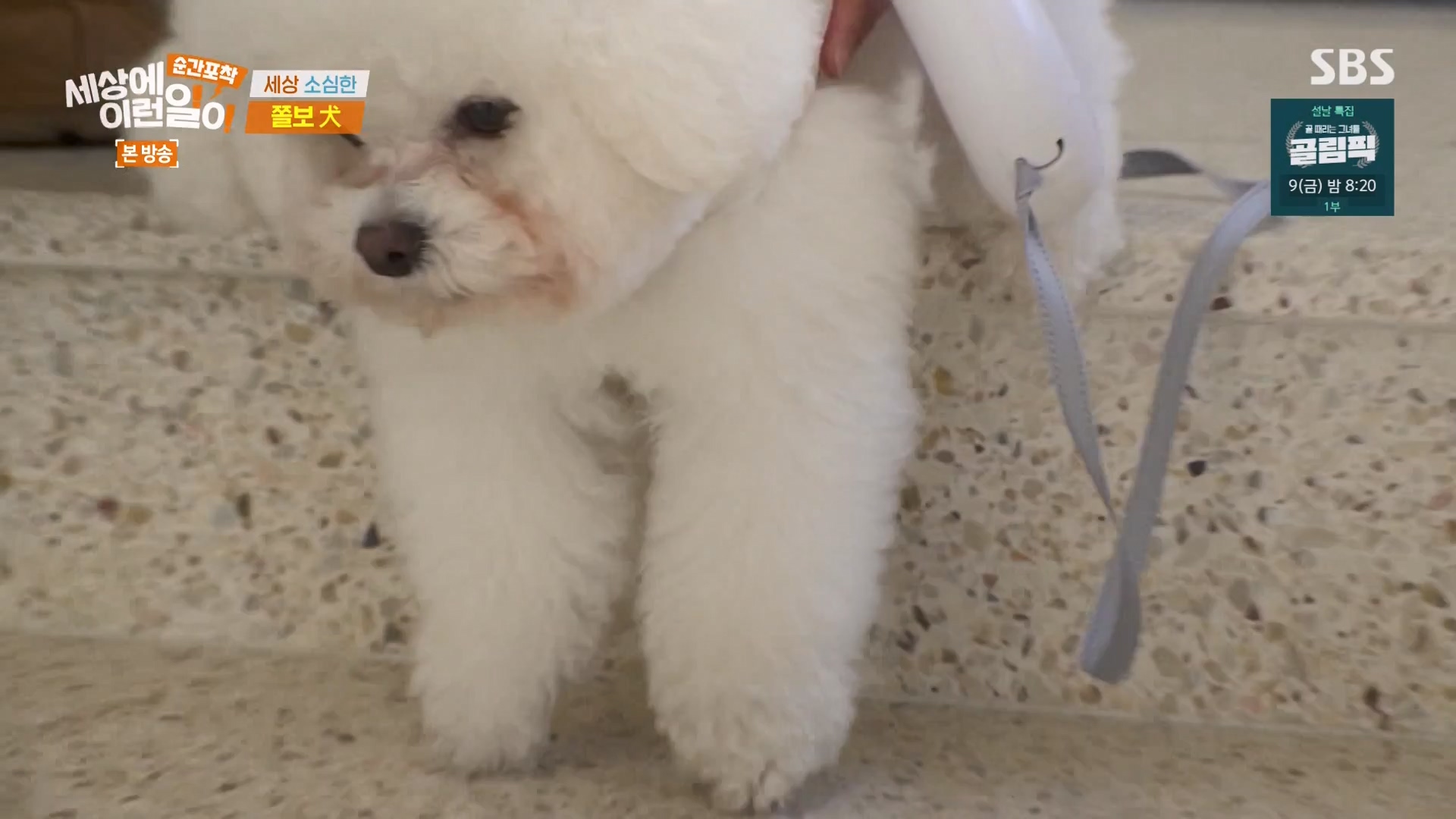 순간포착 세상에 이런일이.E1263.240203p-NEXT.mp4_20240204_164015.072.jpg