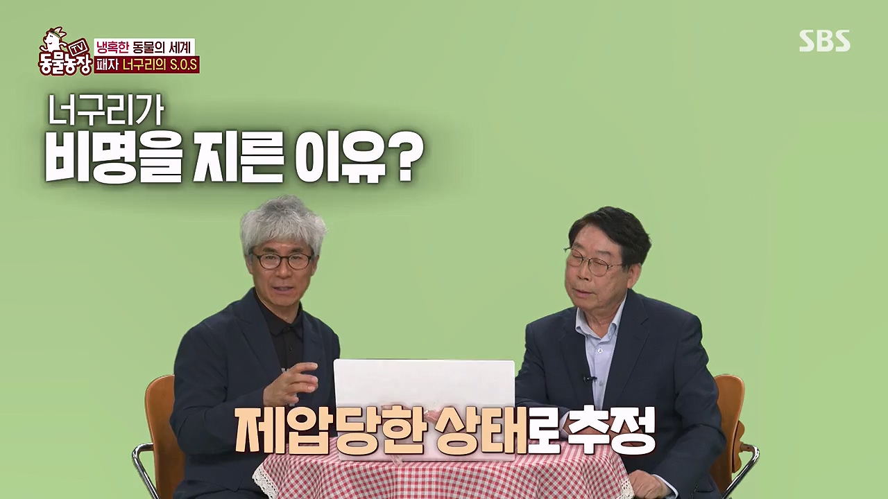 TV 동물농장.E1172.240520p-NEXT.mp4_20240519_163650.241.jpg