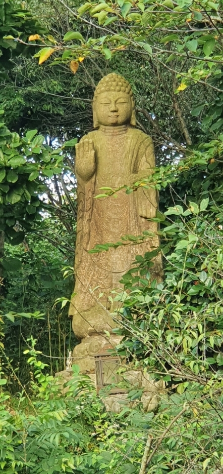 img.jpg