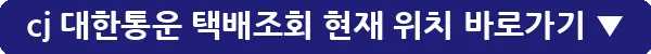 cj 대한통운 택배조회 현재 위치_13