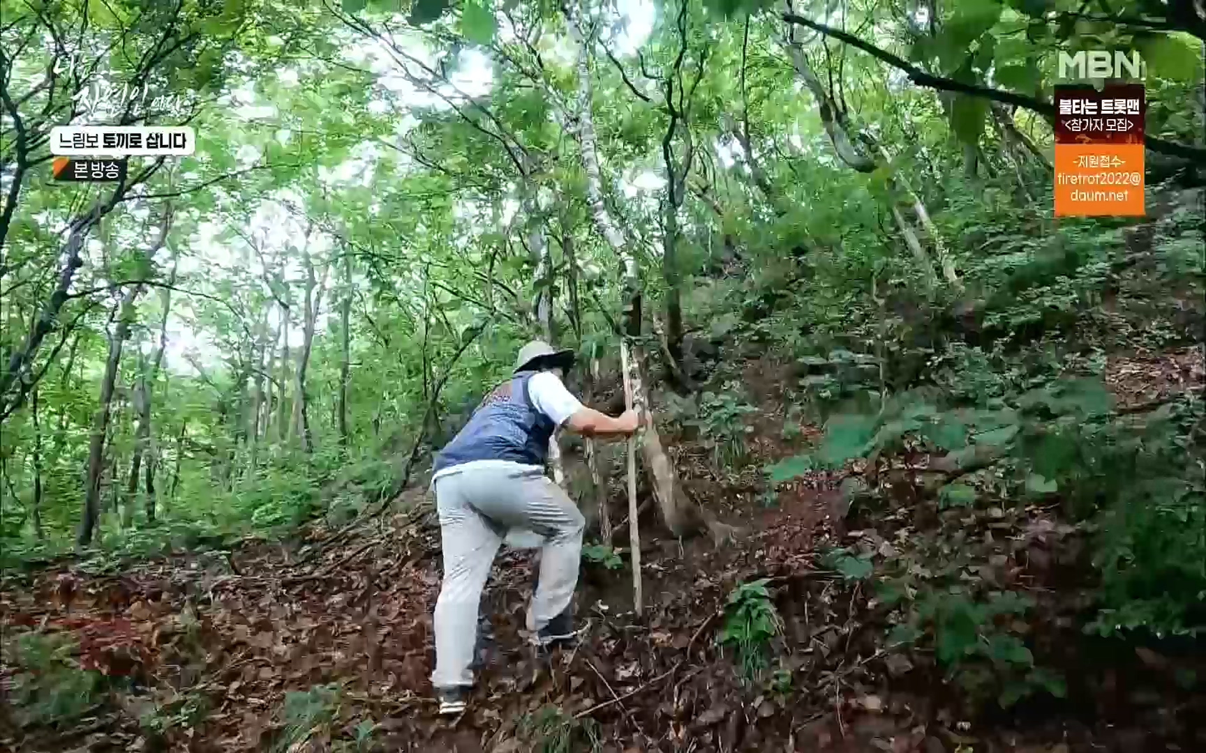 나는 자연인이다.E514.220810p.H264-F1RST.mp4_20220811_202612.648.jpg