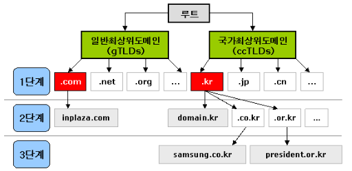  DNS