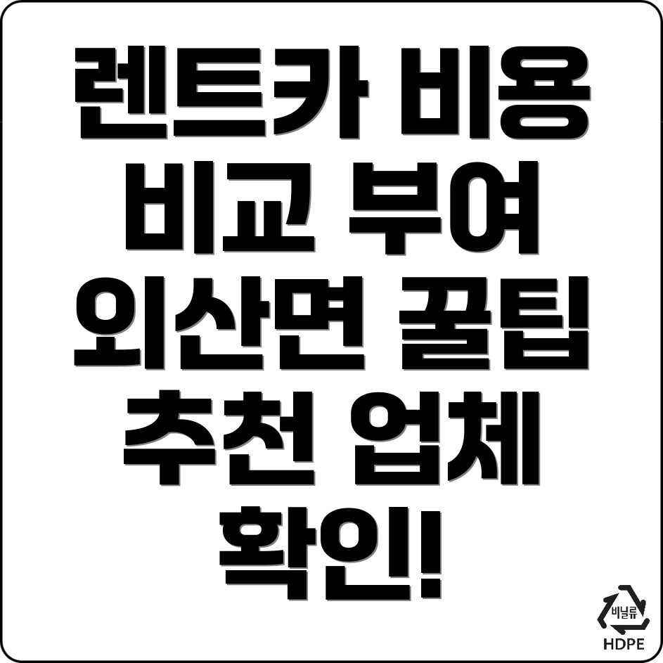 부여군 렌트카 비용