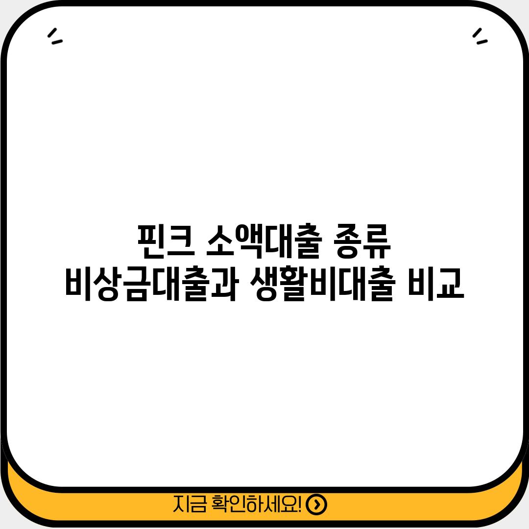 핀크 소액대출 종류: 비상금대출과 생활비대출 비교