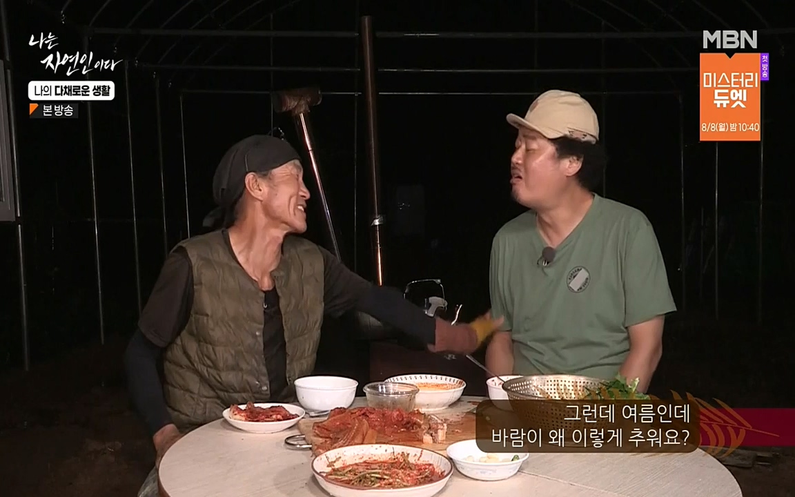 나는 자연인이다.E513.220804p-NEXT.mp4_20220804_202009.242.jpg