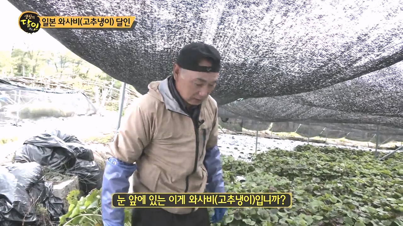 생활의 달인.E908.231017p-NEXT.mp4_20231017_200138.022.jpg