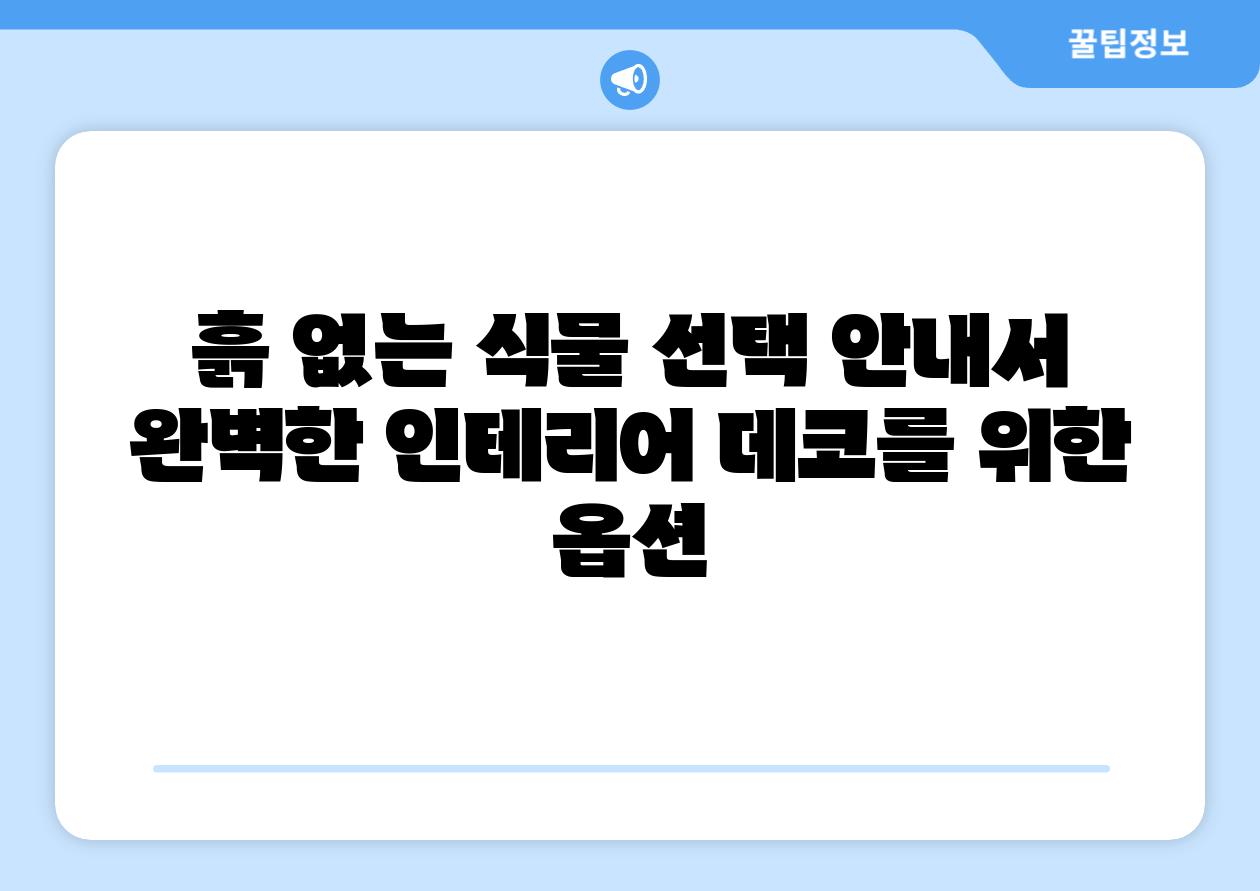 흙 없는 식물 선택 안내서 완벽한 인테리어 데코를 위한 옵션