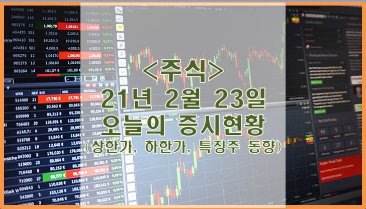  [주식] 2월 23일 오늘의 증시현황 (상한가, 하한가, 특징주)