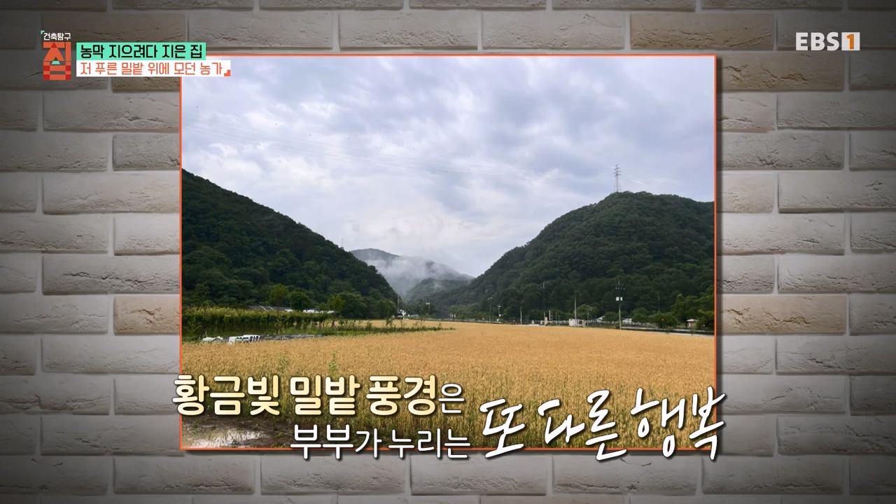 TV - 전 국민의 평생학교 EBS농막 지으려다 지은 집.mp4_20230925_211507.295.jpg