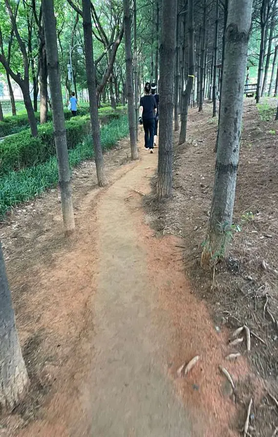 일원에코파크