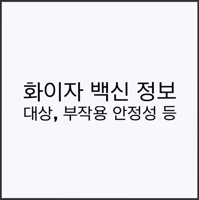  화이자 백신 정보 (접종대상 비대상 효과 부작용)