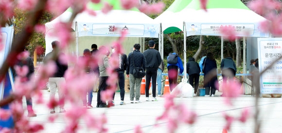 도드람엘피씨공사 이미지